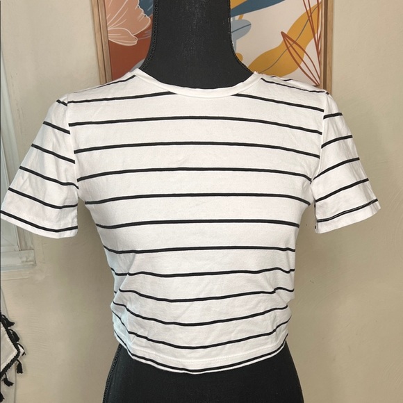 Zara White and Black Striped Short Sleeve Cropped Tee Size M - Picture 1 of 6